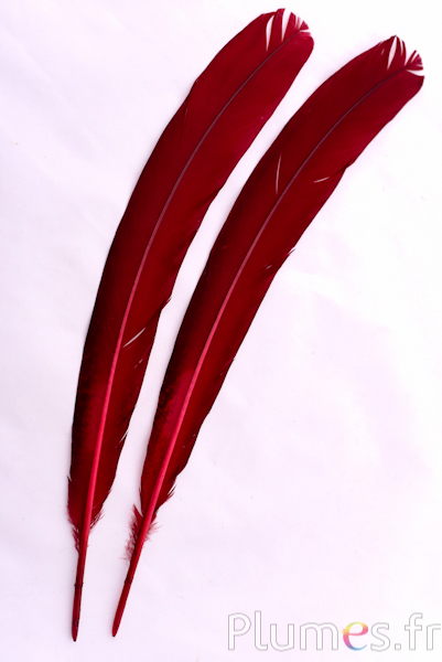 Paon violet - 45-52 cm - carmin